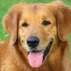 Meet your Posher, Madeline